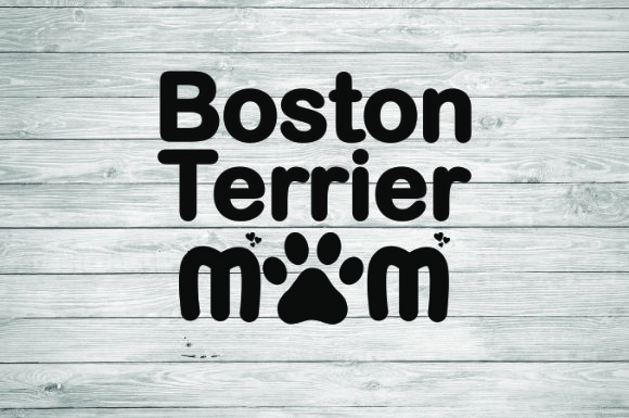 Boston Terrier Mom: A Designer's Real-World Review