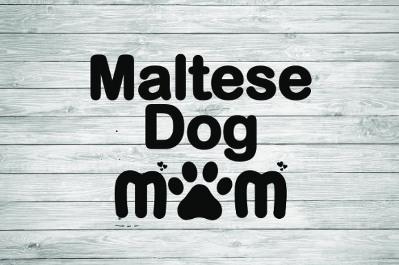 Maltese Dog Mom: A Designer's Real-World Review